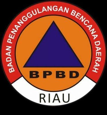 Kepala BPBD Riau, Edy: Luas Karhutla Tahun 2021 Menurun Dibandingkan Tahun Lalu